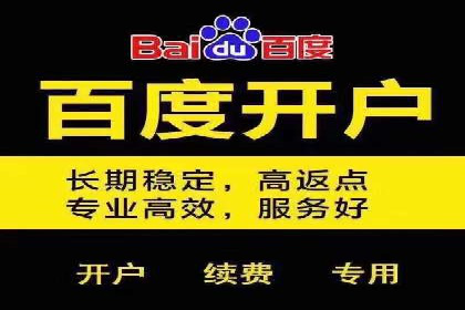 百度搜索引擎优化推广案例解析